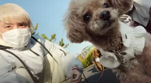 歴代 手越祐也の愛犬まとめ 名前や仲良しエピソードはコチラ 画像 Johnny S News