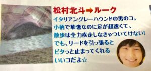 Sixtones メンバーのペット 愛犬 情報まとめ 画像も Johnny S News