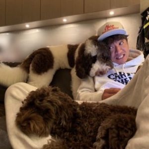 21最新 木村拓哉の愛犬の犬種や名前まとめ 画像で歴代網羅して紹介 Johnny S News